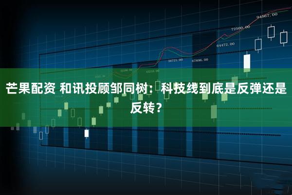 芒果配资 和讯投顾邹同树：科技线到底是反弹还是反转？
