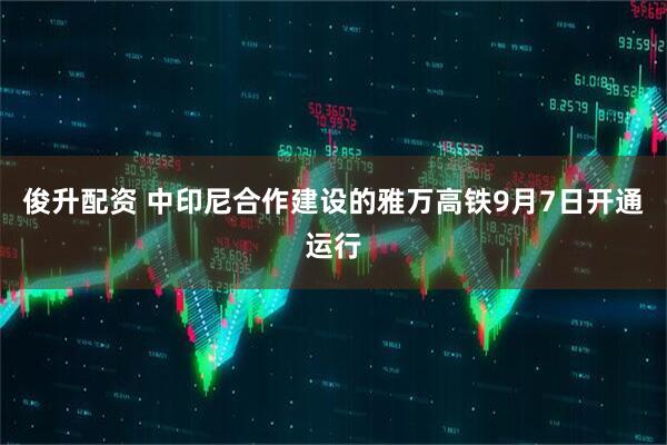 俊升配资 中印尼合作建设的雅万高铁9月7日开通运行