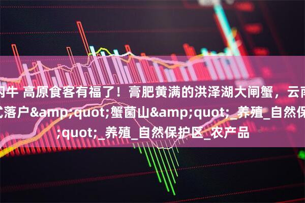 闪牛 高原食客有福了！膏肥黄满的洪泽湖大闸蟹，云南唯一代理正式落户&quot;蟹菌山&quot;_养殖_自然保护区_农产品