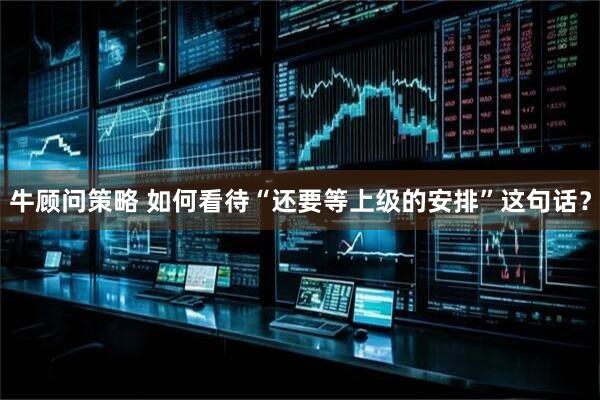 牛顾问策略 如何看待“还要等上级的安排”这句话？