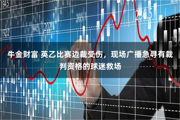 牛金财富 英乙比赛边裁受伤，现场广播急寻有裁判资格的球迷救场