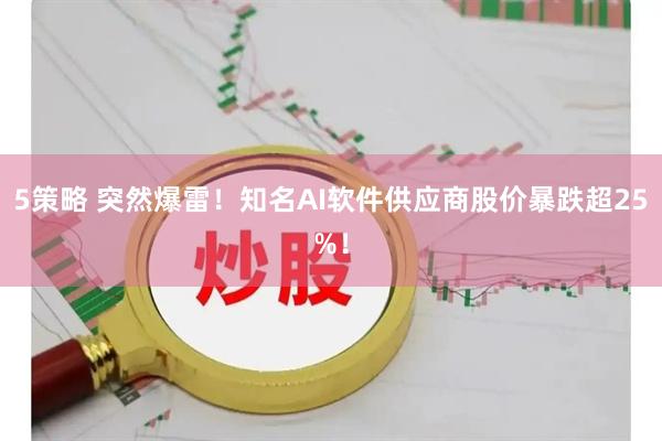 5策略 突然爆雷！知名AI软件供应商股价暴跌超25%！