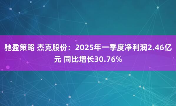 驰盈策略 杰克股份：2025年一季度净利润2.46亿元 同比增长30.76%